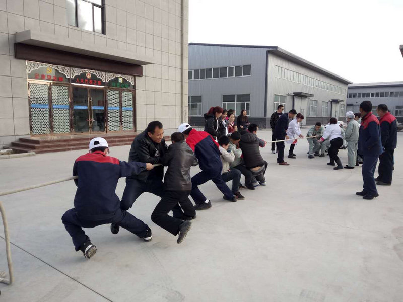銀川伊百盛生物工程有限公司 銀川伊百盛生物工程有限公司
