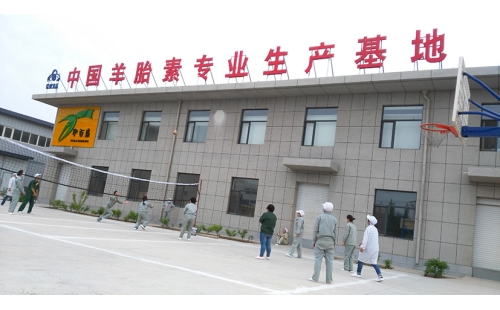 團(tuán)結(jié)合作，快樂迎五一