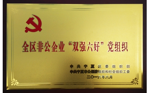 伊百盛黨支部榮獲全區(qū)非公企業(yè)“雙強(qiáng)六好黨組織”榮譽(yù)稱(chēng)號(hào)