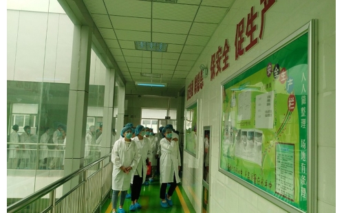 值公司成立十周年慶典，公司贊助萬名老人免費(fèi)游寧夏系列活動(dòng)