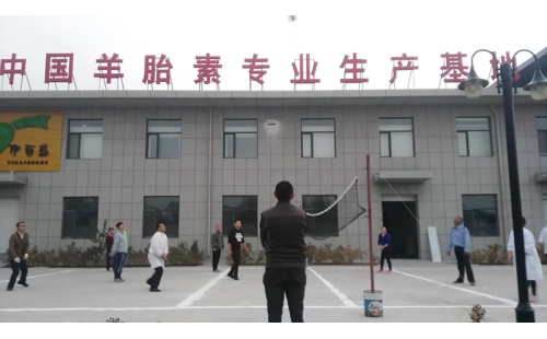 排球傳溫情，員工齊聚心