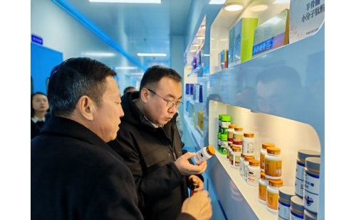 金鳳區(qū)常委、組織部長杜鈞，副區(qū)長、公安局長王占東一行蒞臨企業(yè)參觀調(diào)研